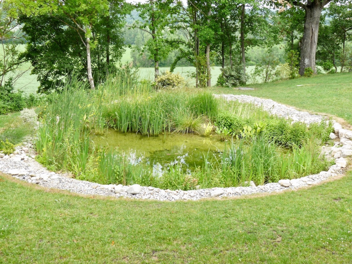 Baignade naturelle Tarn 