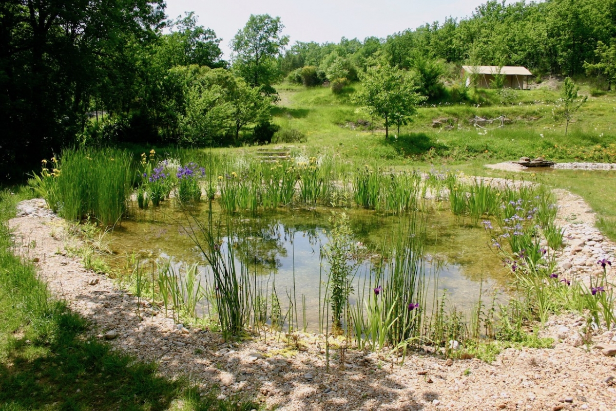 Piscine naturelle Tarn et Garonne