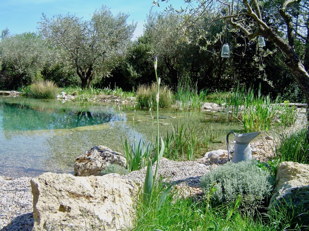 Piscine naturelle vaucluse