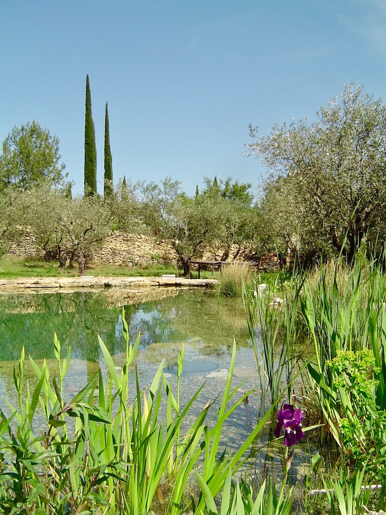 Piscine naturelle vaucluse