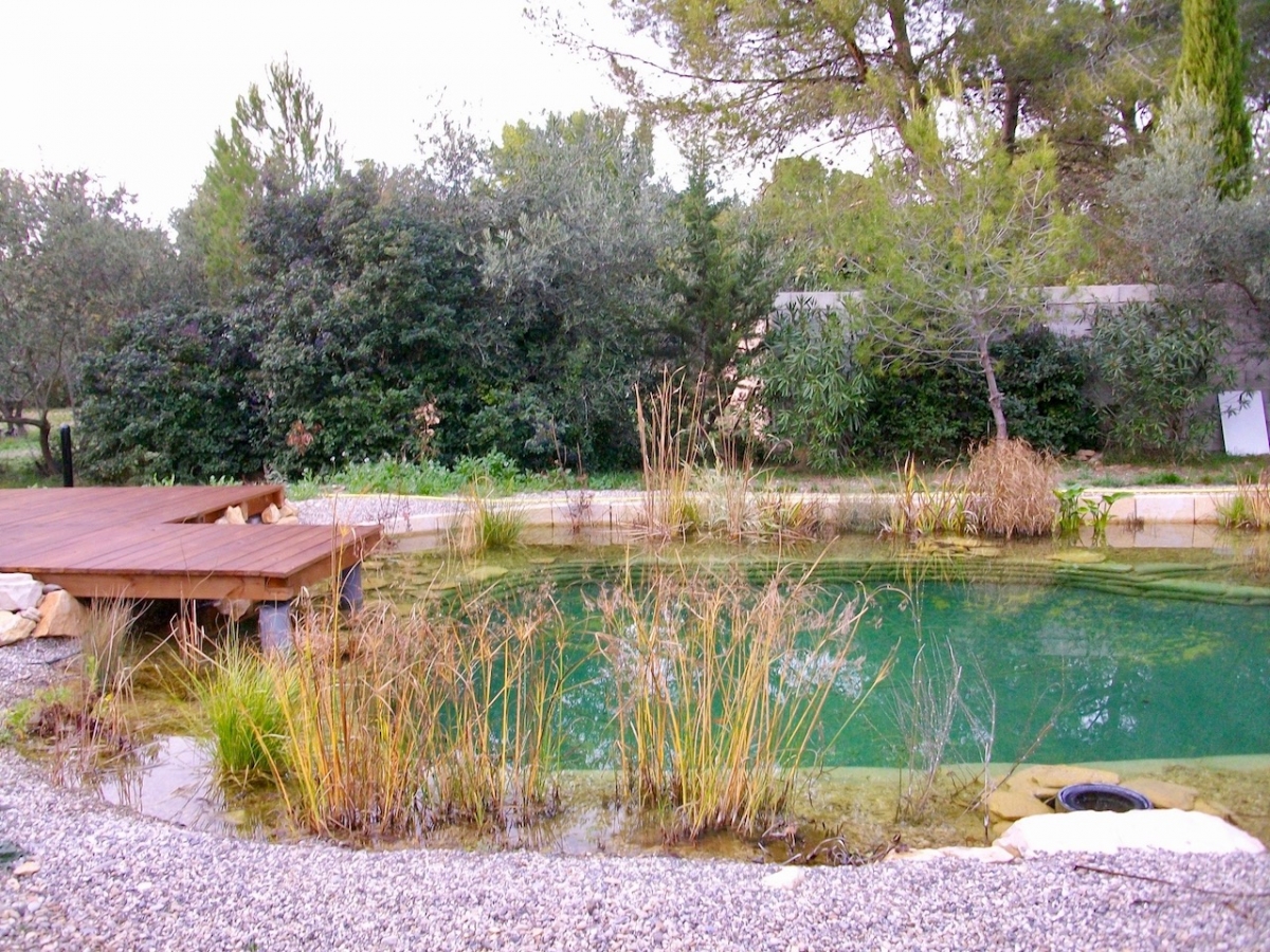 Piscine naturelle Gard