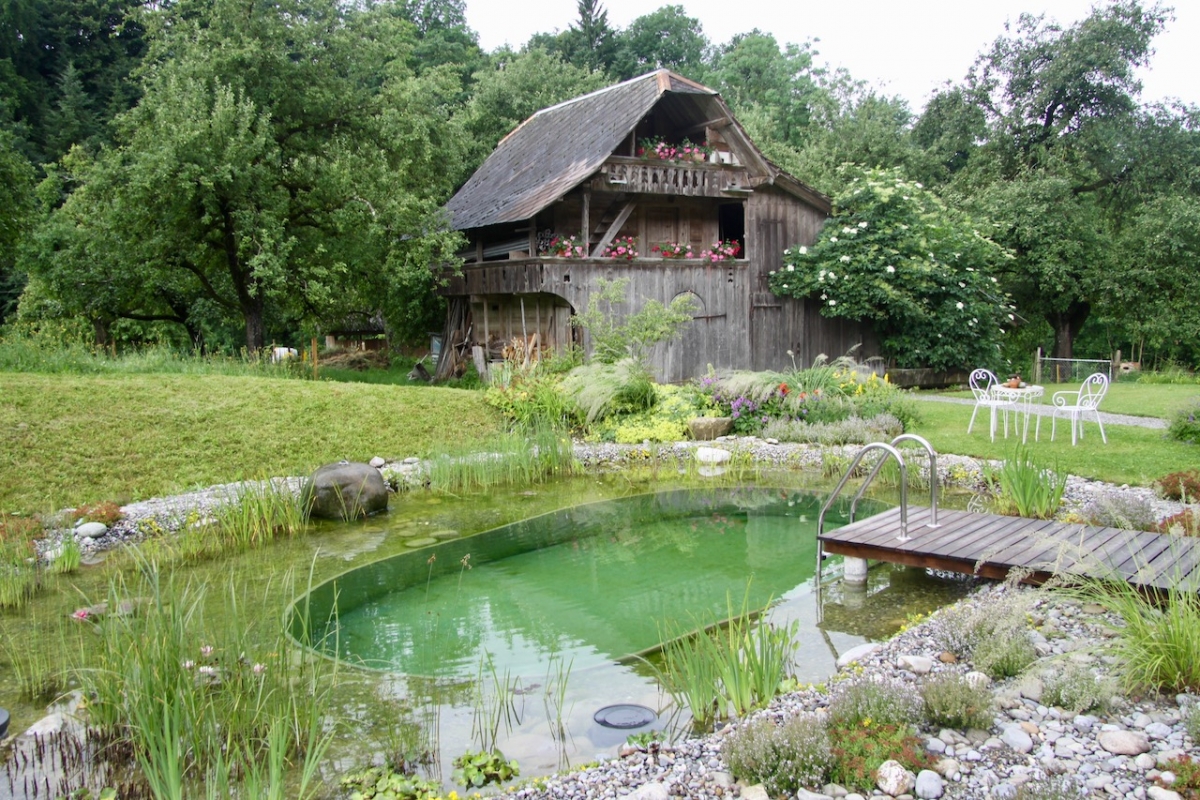 Piscine naturelle Alpes