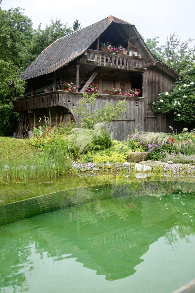 Piscine naturelle Alpes    