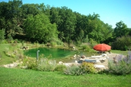 Piscine naturelle BioNova - La filtration biologique - Baignade naturelle publique