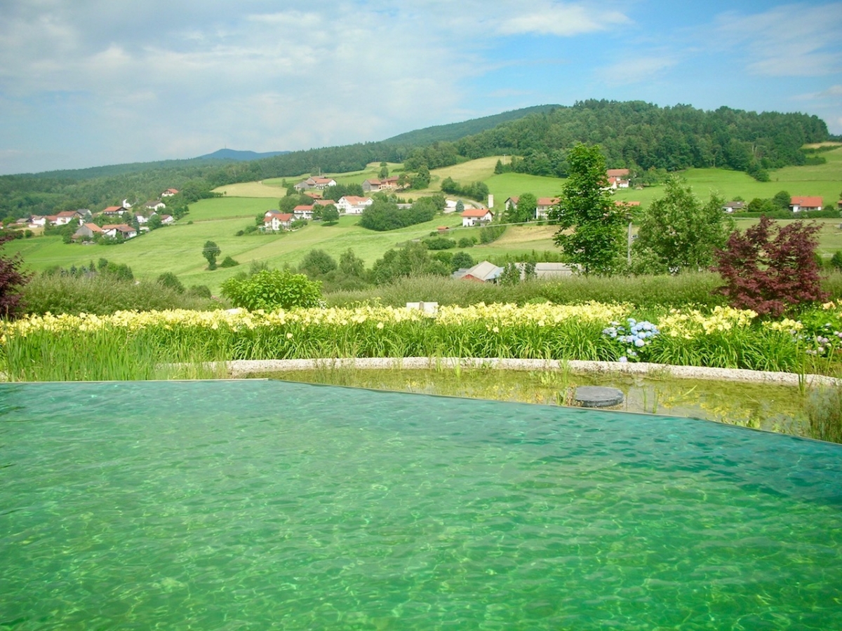 Piscine naturelle Hôtel