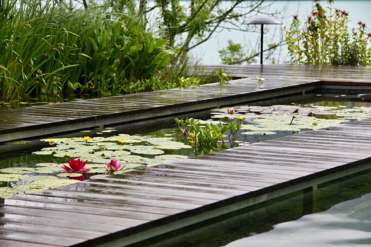 Baignade naturelle Suisse