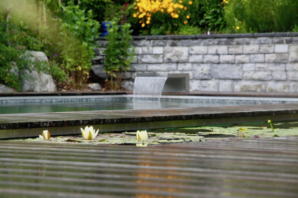 Baignade naturelle Suisse