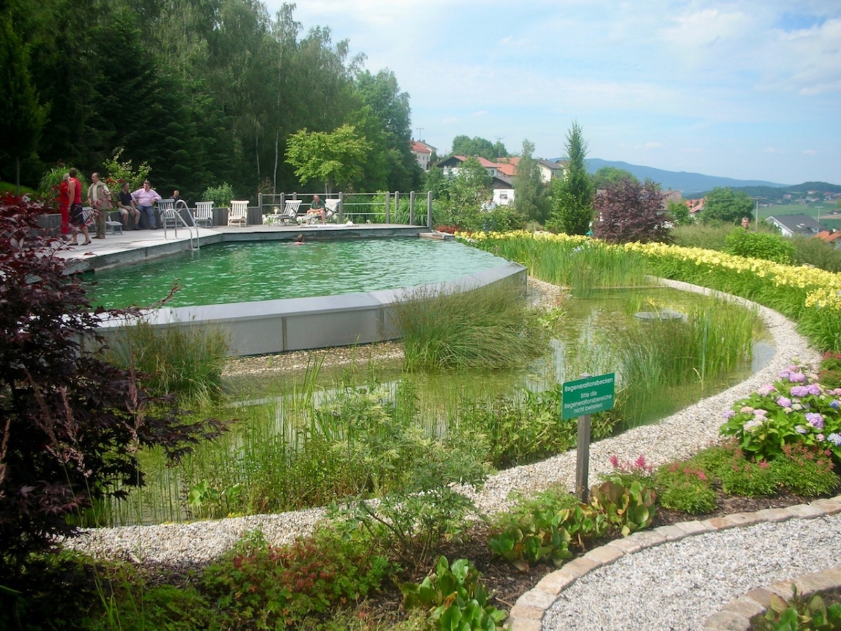 Piscine naturelle Hôtel