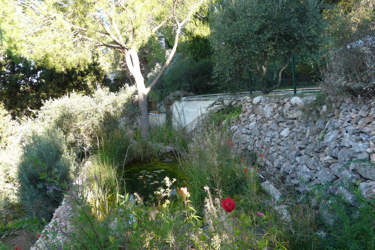 Piscine naturelle Hérault