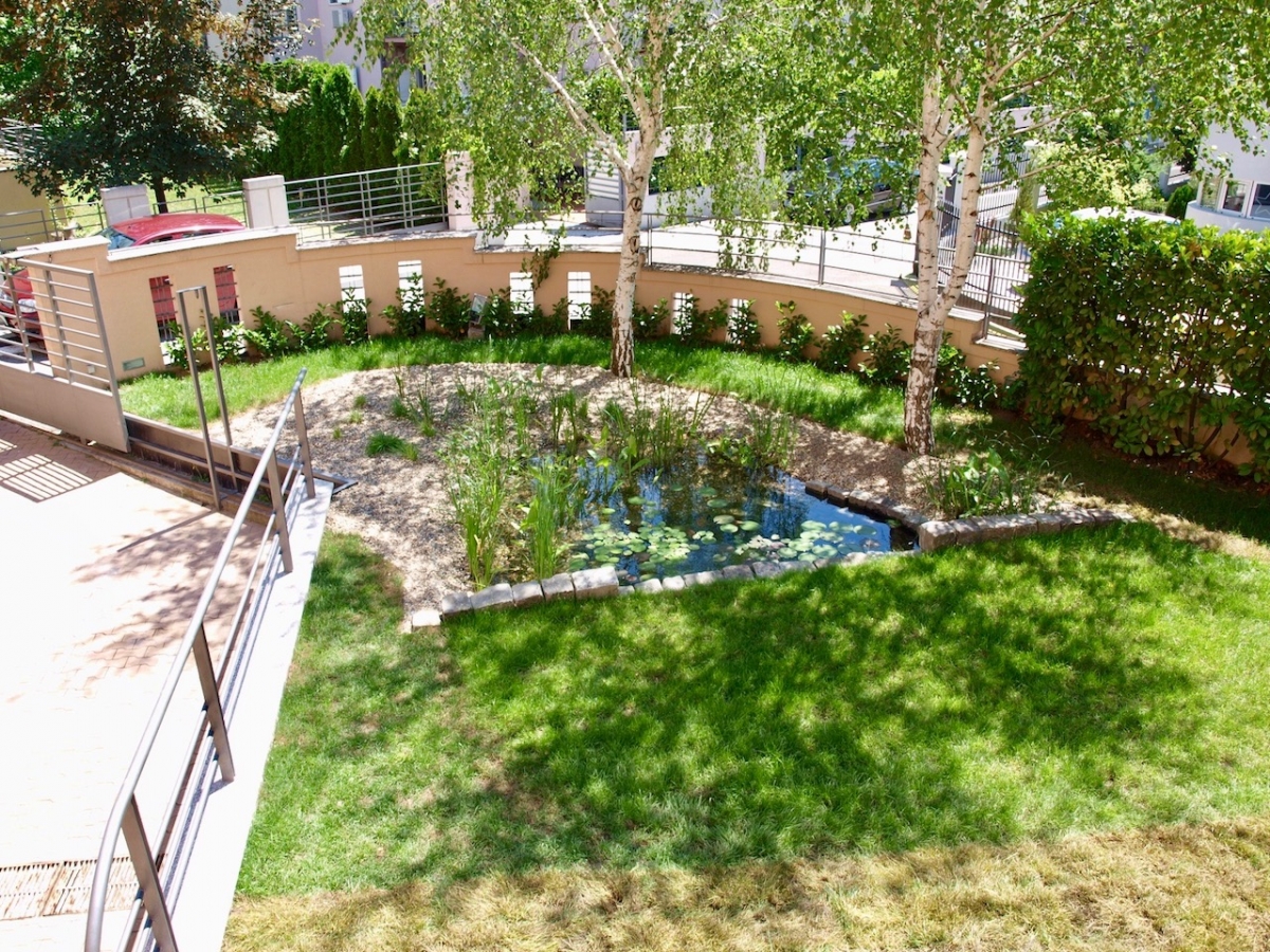 Piscine naturelle Serbie