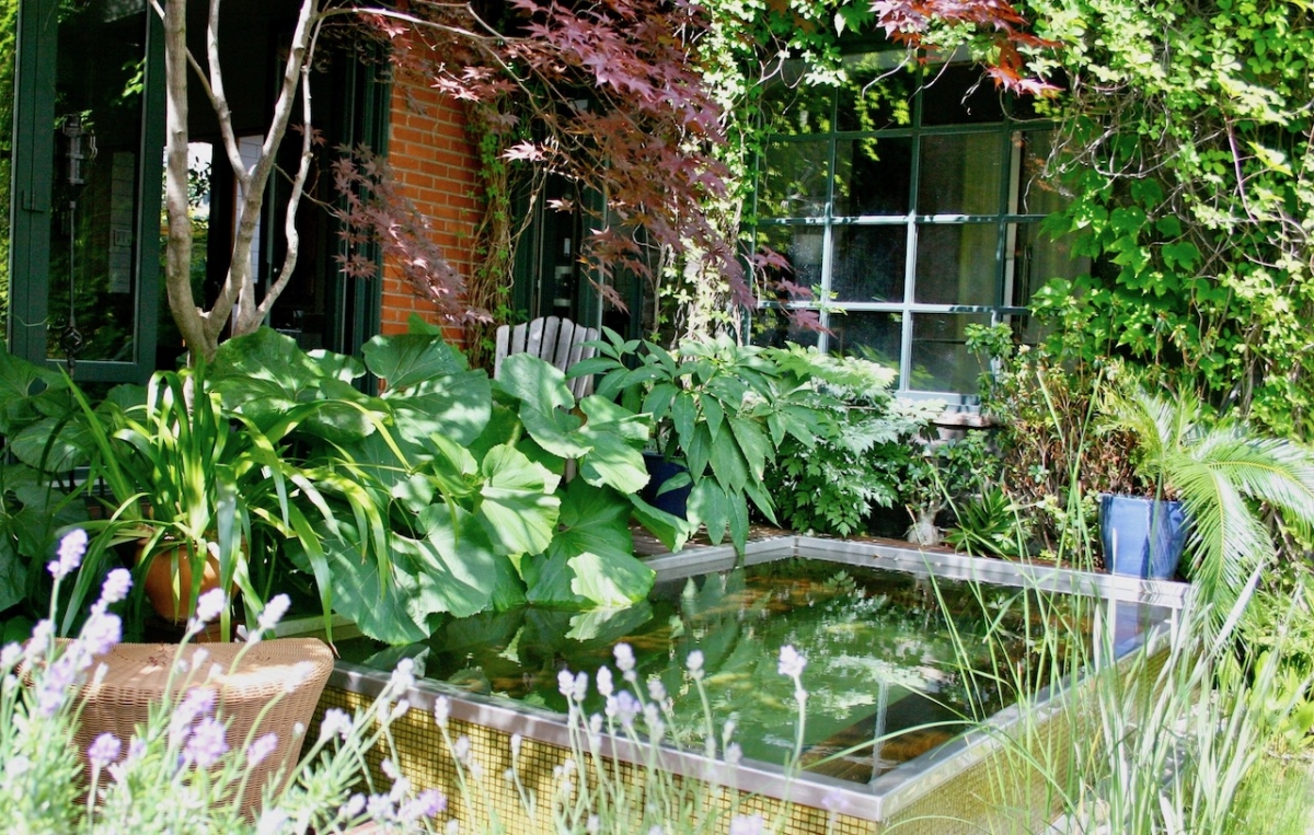 Piscine naturelle au Canada