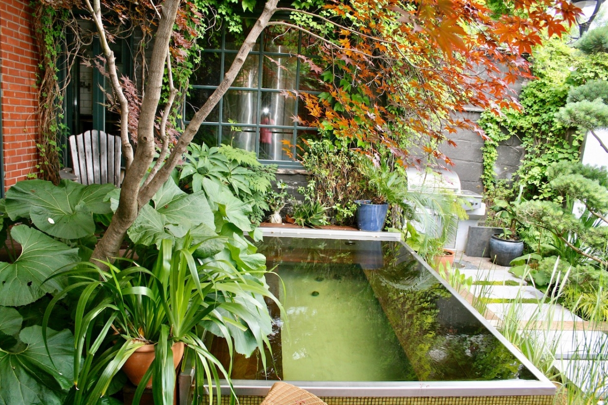 Piscine naturelle au Canada