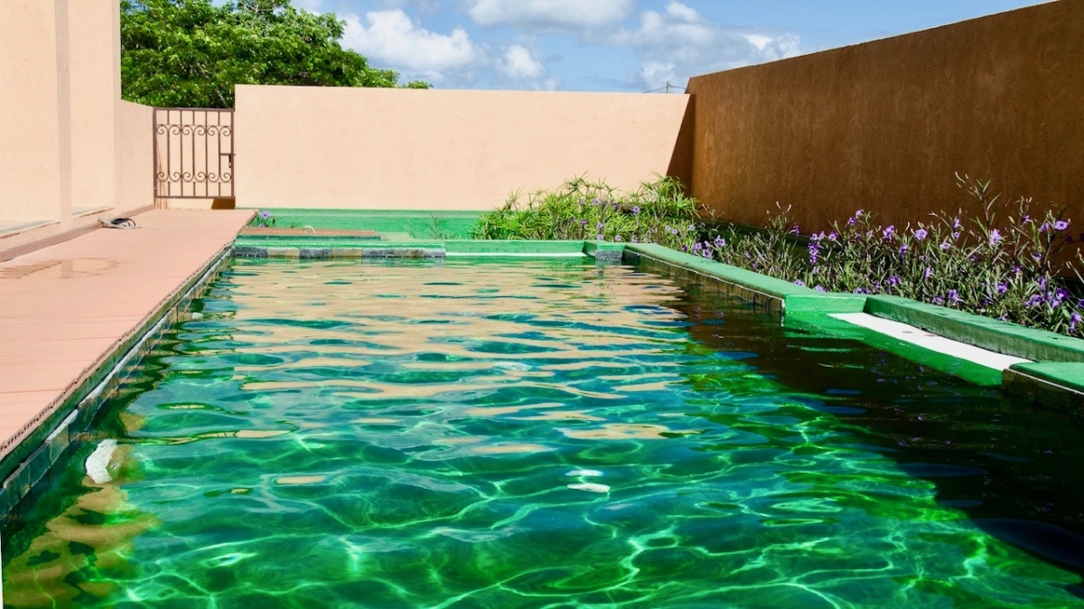 Piscine naturelle Ile Maurice