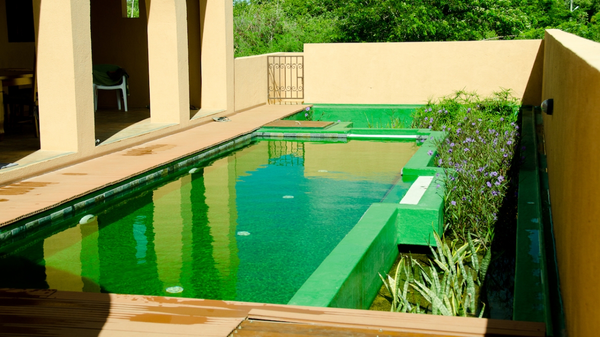 Piscine naturelle Ile Maurice